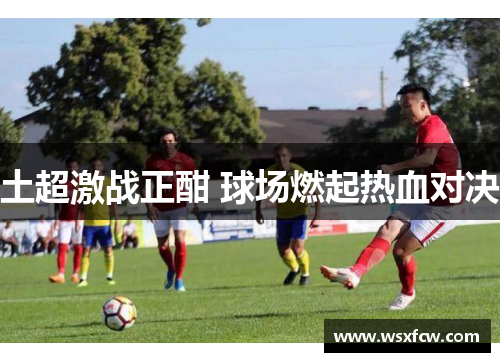 土超激战正酣 球场燃起热血对决