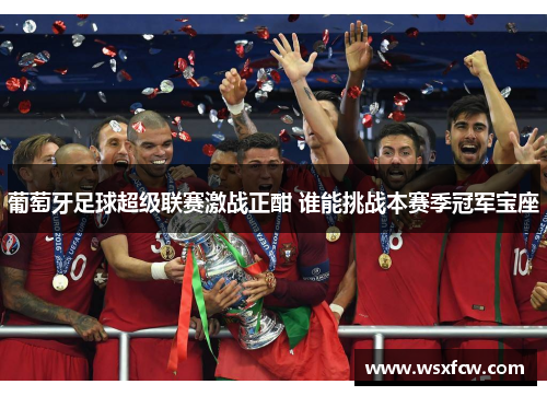 葡萄牙足球超级联赛激战正酣 谁能挑战本赛季冠军宝座 葡萄牙足球超级联赛激战正酣 谁能挑战本赛季冠军宝座